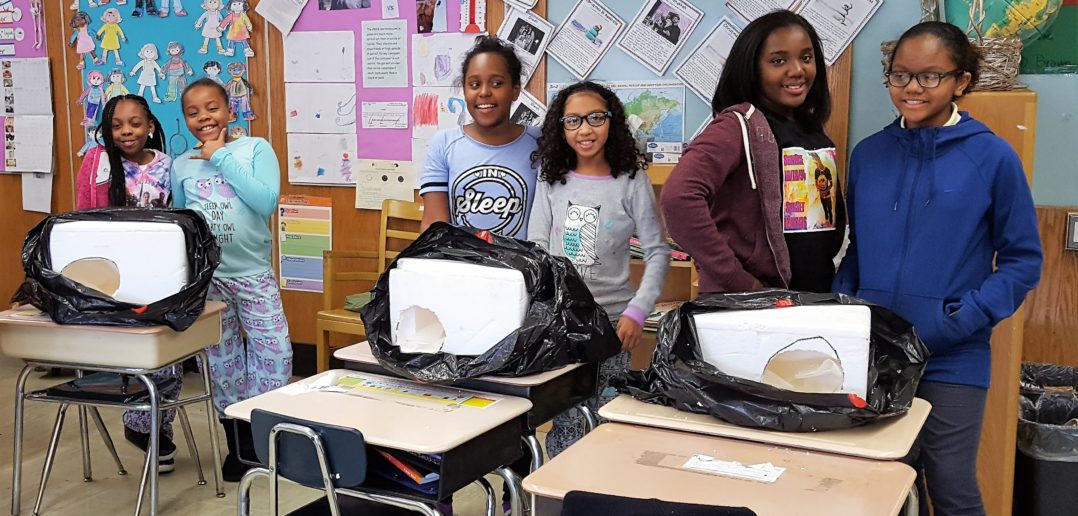 Helping Homeless/Shelter Animals at PS 223Q 2014-2015