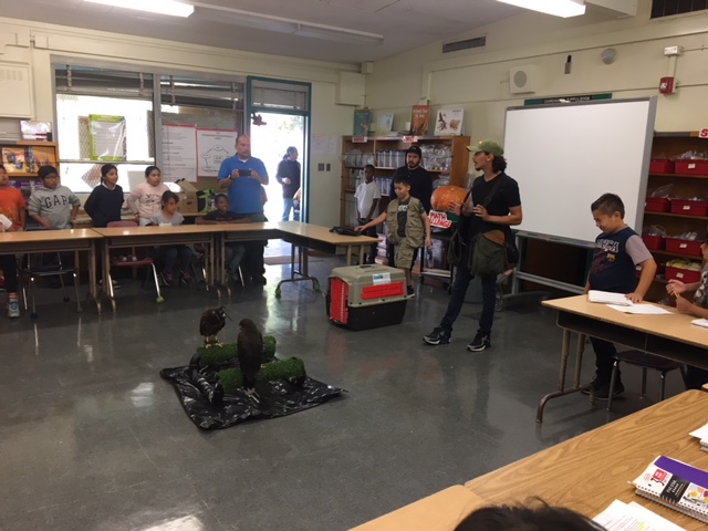 Raptor Birds in the City 1