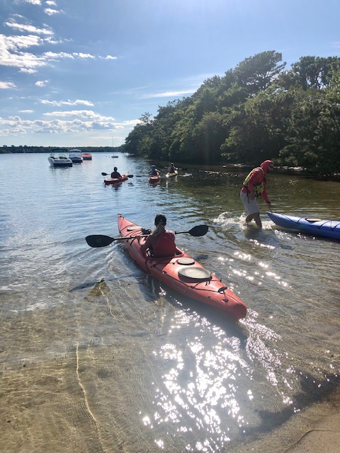 Brewster Ponds Coalition 1