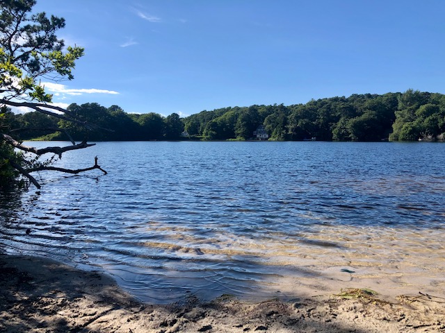 Brewster Ponds Coalition 2