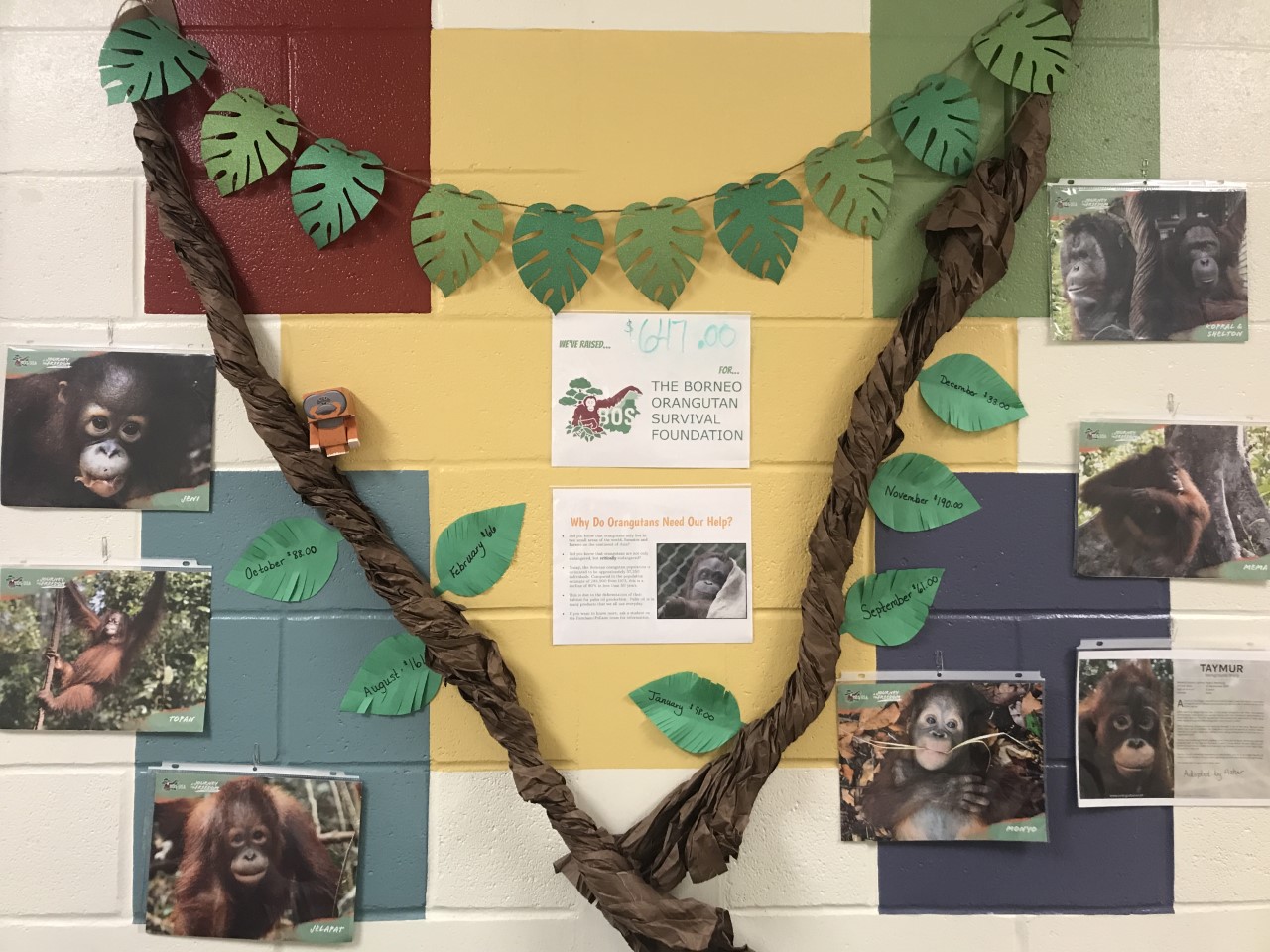 Husky Orangutan Warriors