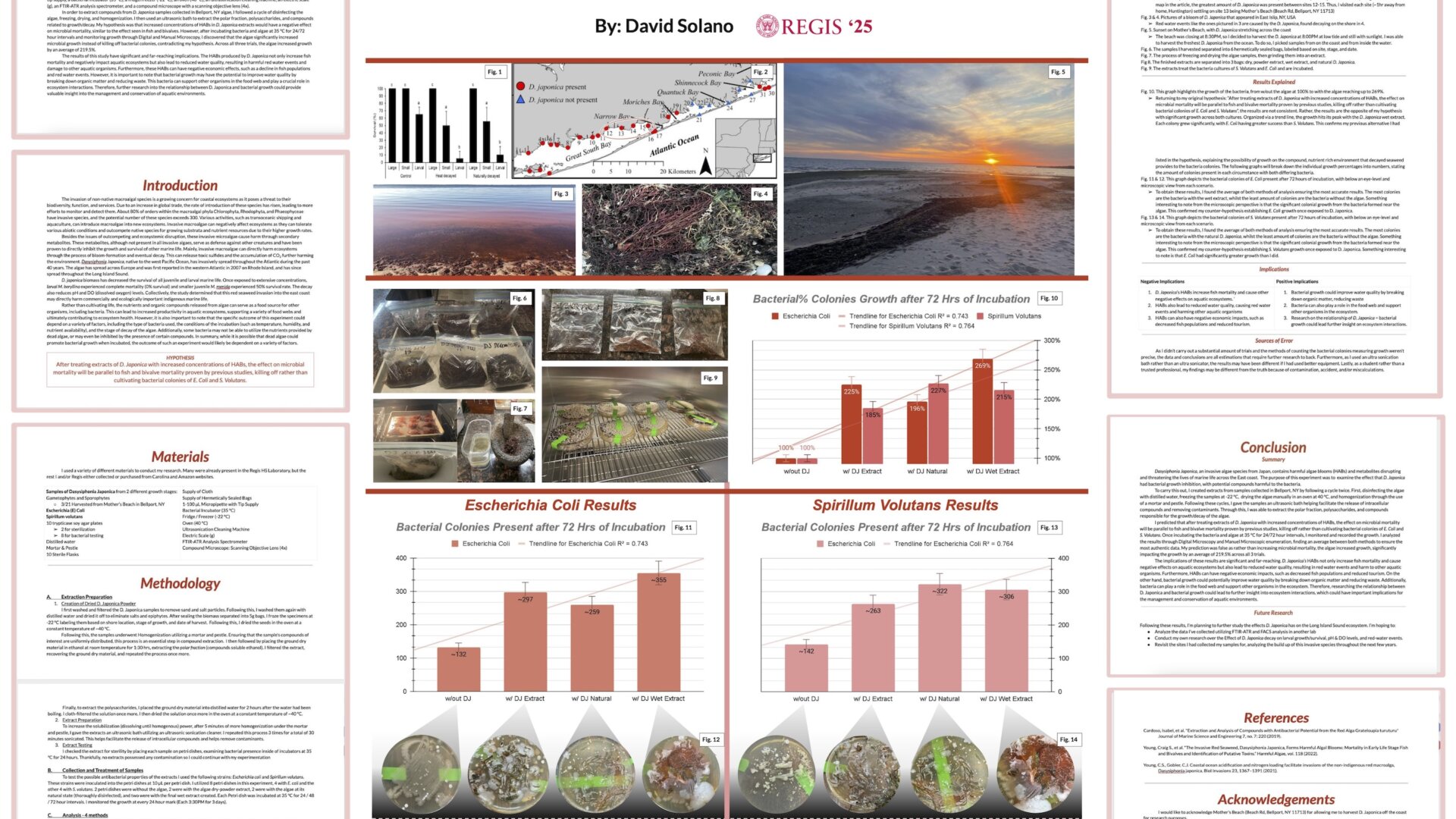 Defeating Dasysiphonia Japonica
