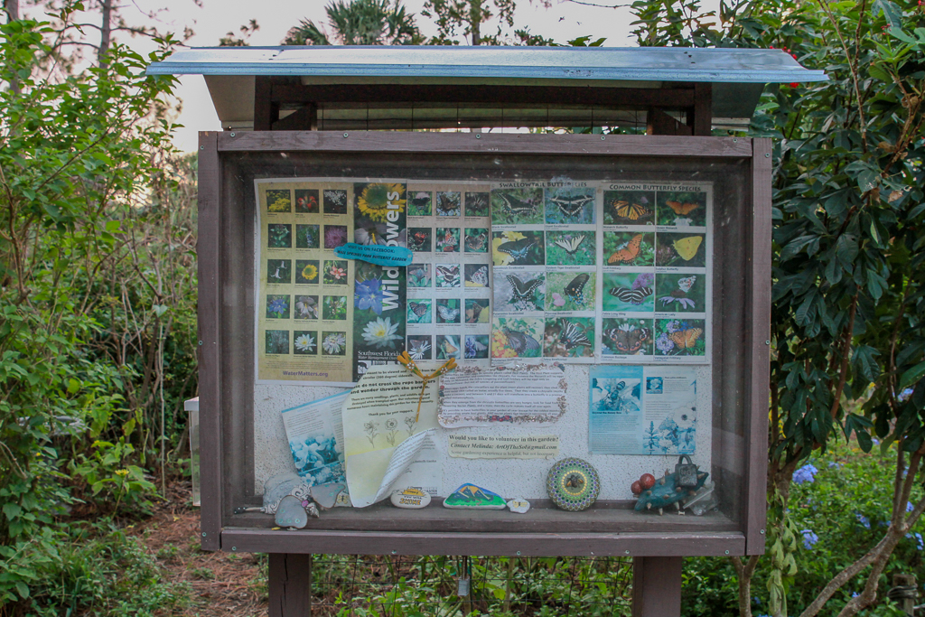 Helping Rebuild Wall Springs Park Butterfly Garden Post-Hurricane