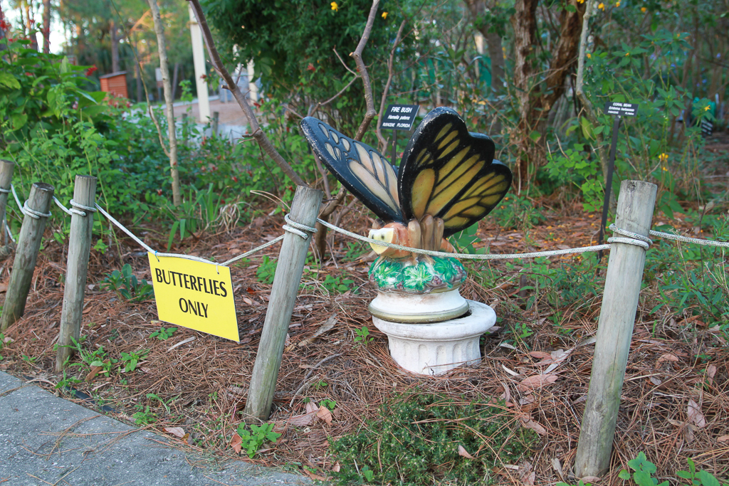 Helping Rebuild Wall Springs Park Butterfly Garden Post-Hurricane 1