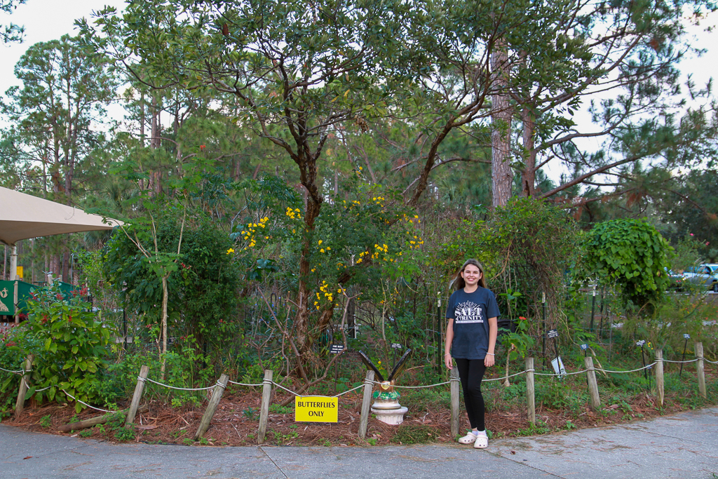 Helping Rebuild Wall Springs Park Butterfly Garden Post-Hurricane 2