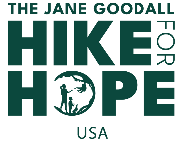 logo in green