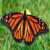 Profile picture of KKinner