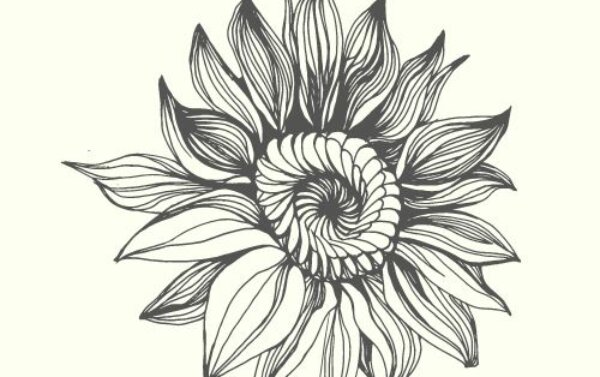Profile picture of Rachel Weaver - The PETAL Project