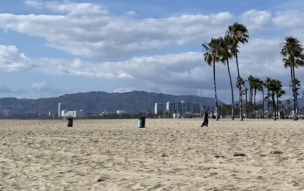 Profile picture of Giada Cornwell