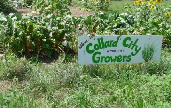 Profile picture of Alexis