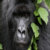 Profile picture of Annette Jamieson