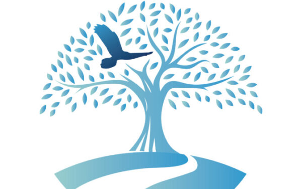 Profile picture of Creation Village World School