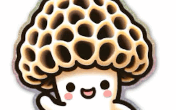 Profile picture of Juno A.