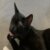 Profile picture of Clara