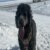 Profile picture of Sophie Moch