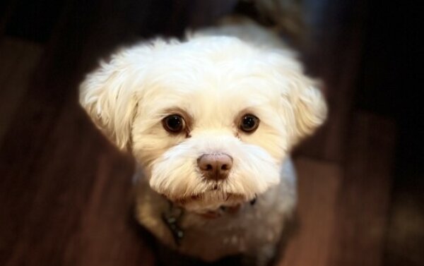 Profile picture of Gus Jasper