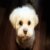 Profile picture of Gus Jasper