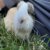 Profile picture of Annie