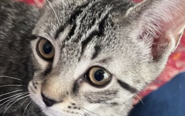 Profile picture of Emily