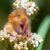 Profile picture of Autumn Caye Moss