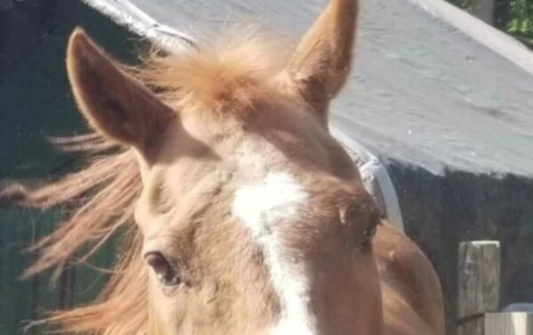 Profile picture of Tina Meekins