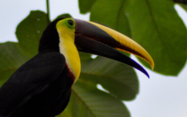 Profile picture of Sonia