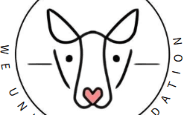 Profile picture of Grace Xiao