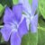 Profile picture of Veronica Byrd