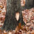 Profile picture of Everyone