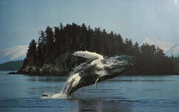 Profile picture of Gaby