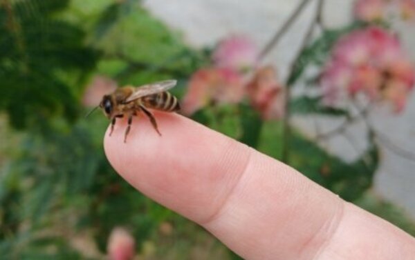 Profile picture of Renee Wiest