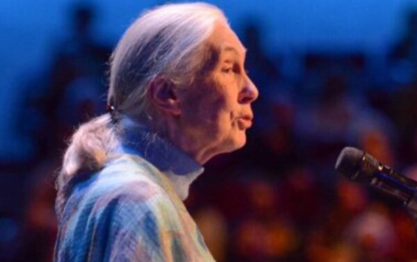 Profile picture of James Gray