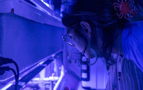 Profile picture of Sada Elkott