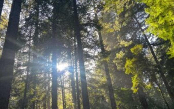 Profile picture of McKenna