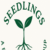 Group logo of Seedlings